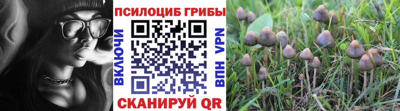 Псилоцибиновые грибы мухоморы  Красный Холм 